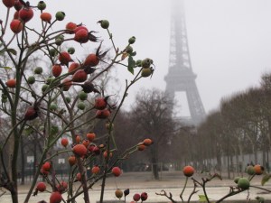 Just the Eiffel Tower in the distance. Apparently I'm in Paris?