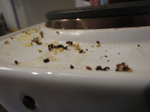 The Great Couscous Disaster of 2013